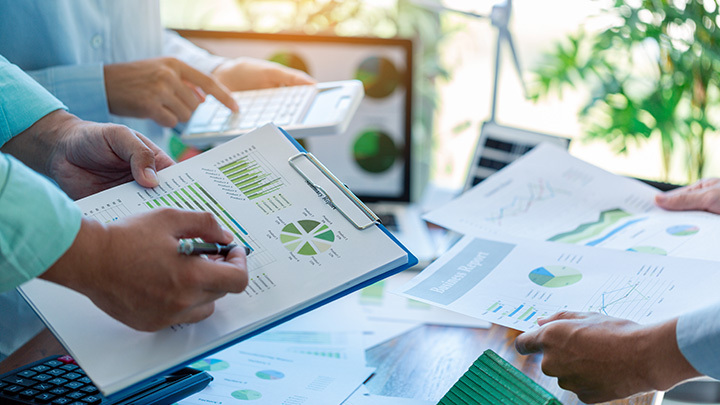 Sustainability and ESG Services